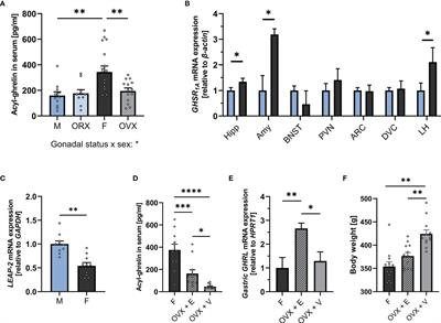 From an Empty Stomach to Anxiolysis: Molecular and Behavioral Assessment of Sex Differences in the Ghrelin Axis of Rats